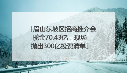 眉山东坡区招商推介会揽金70.43亿，现场抛出300亿投资清单