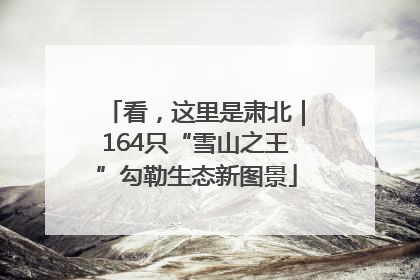 看，这里是肃北｜164只“雪山之王”勾勒生态新图景