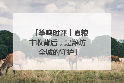 筝鸣时评丨夏粮丰收背后，是潍坊全城的守护