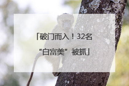 破门而入！32名“白富美”被抓