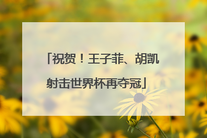 祝贺！王子菲、胡凯射击世界杯再夺冠