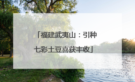 福建武夷山：引种七彩土豆喜获丰收