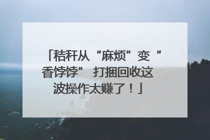 秸秆从“麻烦”变“香饽饽” 打捆回收这波操作太赚了！