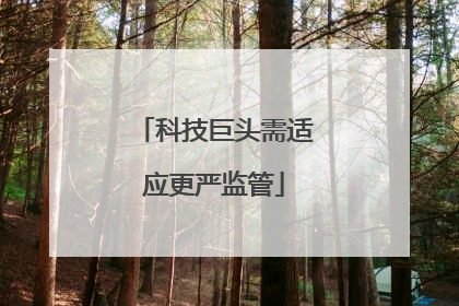 科技巨头需适应更严监管