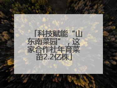 科技赋能“山东南菜园”，这家合作社年育菜苗2.2亿株