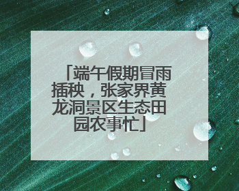 端午假期冒雨插秧，张家界黄龙洞景区生态田园农事忙