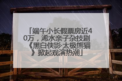 端午小长假票房近40万，浠水亲子杂技剧《黑白侠影·太极熊猫》掀起观演热潮
