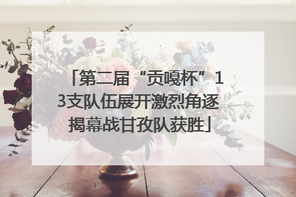 第二届“贡嘎杯”13支队伍展开激烈角逐 揭幕战甘孜队获胜