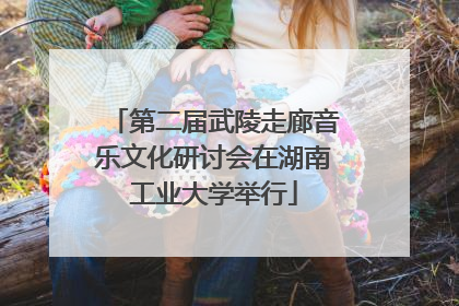 第二届武陵走廊音乐文化研讨会在湖南工业大学举行