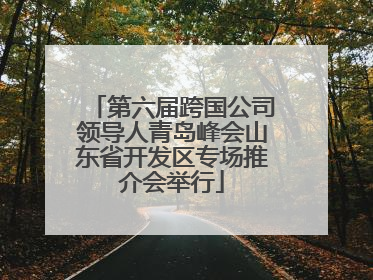 第六届跨国公司领导人青岛峰会山东省开发区专场推介会举行