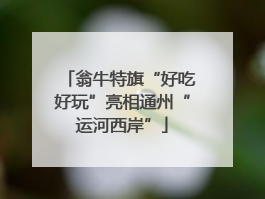 翁牛特旗“好吃好玩”亮相通州“运河西岸”