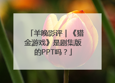 羊晚影评｜《猎金游戏》是剧集版的PPT吗？