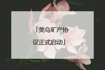 美乌矿产协议正式启动