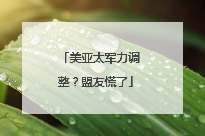 美亚太军力调整？盟友慌了