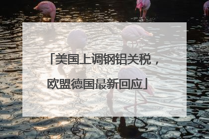 美国上调钢铝关税，欧盟德国最新回应