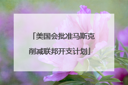 美国会批准马斯克削减联邦开支计划