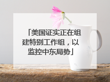 美国证实正在组建特别工作组，以监控中东局势