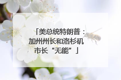美总统特朗普：加州州长和洛杉矶市长“无能”