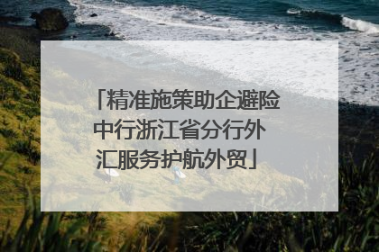 精准施策助企避险 中行浙江省分行外汇服务护航外贸