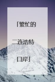 繁忙的二连浩特口岸