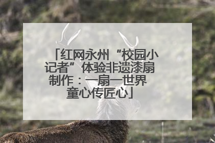 红网永州“校园小记者”体验非遗漆扇制作：一扇一世界 童心传匠心