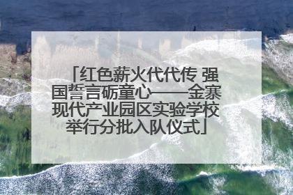 红色薪火代代传 强国誓言砺童心——金寨现代产业园区实验学校举行分批入队仪式