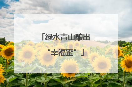 绿水青山酿出“幸福蜜”