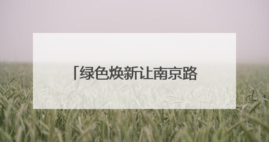 绿色焕新让南京路步行街“逆生长”
