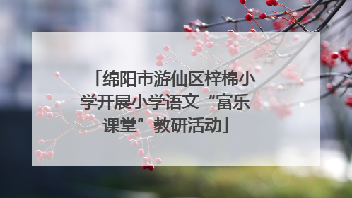 绵阳市游仙区梓棉小学开展小学语文“富乐课堂”教研活动
