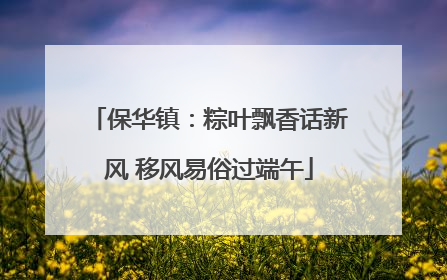 保华镇：粽叶飘香话新风 移风易俗过端午