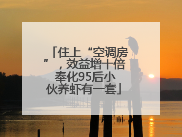 住上“空调房”，效益增十倍 奉化95后小伙养虾有一套