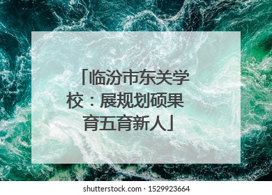 临汾市东关学校：展规划硕果 育五育新人