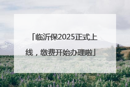 临沂保2025正式上线，缴费开始办理啦