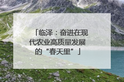 临泽：奋进在现代农业高质量发展的“春天里”