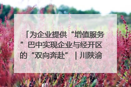为企业提供“增值服务”巴中实现企业与经开区的“双向奔赴”｜川陕渝网络名人巴中行
