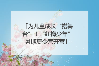 为儿童成长“搭舞台”！“红梅少年”暑期夏令营开营