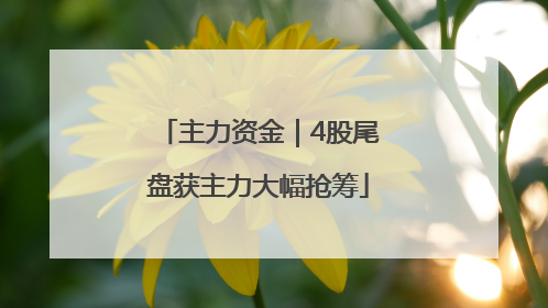 主力资金｜4股尾盘获主力大幅抢筹