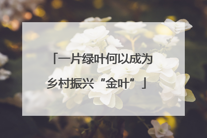 一片绿叶何以成为乡村振兴“金叶”