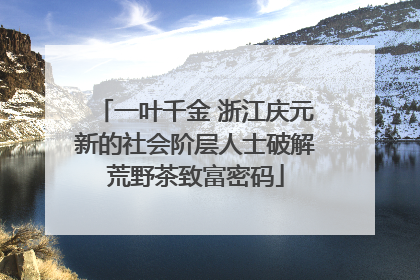一叶千金 浙江庆元新的社会阶层人士破解荒野茶致富密码