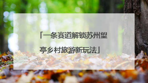 一条赛道解锁苏州望亭乡村旅游新玩法