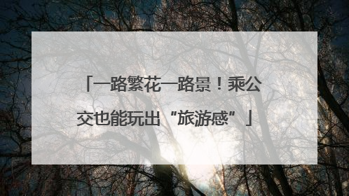 一路繁花一路景！乘公交也能玩出“旅游感”