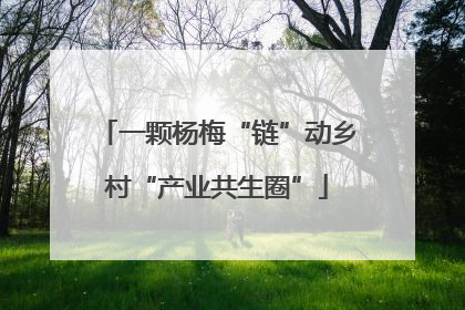 一颗杨梅“链”动乡村“产业共生圈”