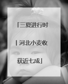 三夏进行时丨河北小麦收获近七成