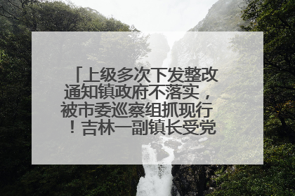 上级多次下发整改通知镇政府不落实，被市委巡察组抓现行！吉林一副镇长受党内警告处分