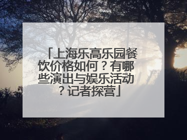 上海乐高乐园餐饮价格如何？有哪些演出与娱乐活动？记者探营