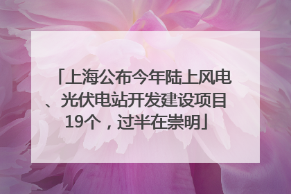 上海公布今年陆上风电、光伏电站开发建设项目19个，过半在崇明