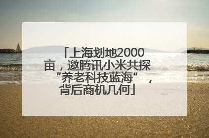 上海划地2000亩,邀腾讯小米共探“养老科技蓝海”,背后商机几何