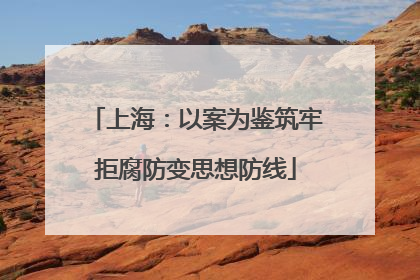 上海：以案为鉴筑牢拒腐防变思想防线