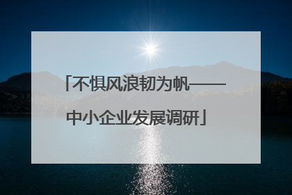 不惧风浪韧为帆——中小企业发展调研