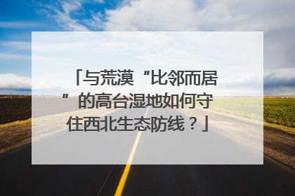 与荒漠“比邻而居”的高台湿地如何守住西北生态防线？